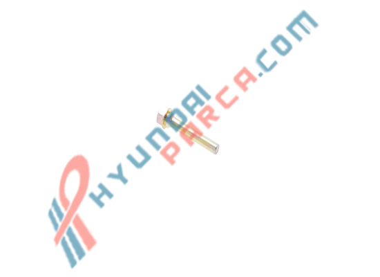 KALİPER PİMİ ÖN ALT İ20/BLUE 58161-2F300-YS
